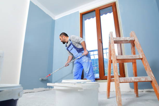 Best Mold Removal for HVAC Installations  in Akwesasne, NY