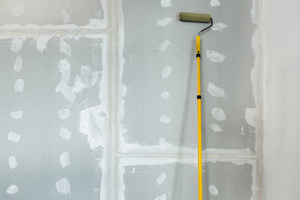 Best Asbestos and Lead Testing During Mold Inspection  in Akwesasne, NY