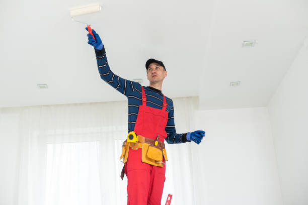 Best Mold Remediation for Healthcare Facilities  in Akwesasne, NY