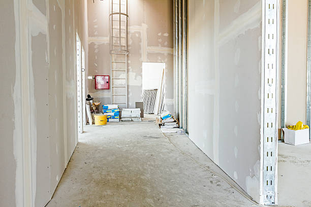 Best Biohazard Mold Removal  in Akwesasne, NY