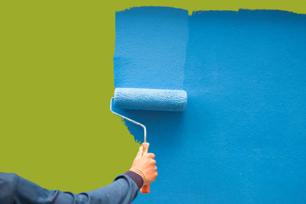Best Forensic Mold Investigation  in Akwesasne, NY